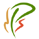 Oak Street Dental logo